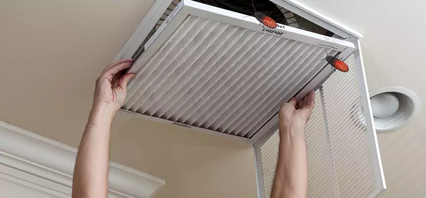 Preventive Cockroach-Proofing for Ducts in Buckhall