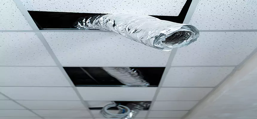 Affordable HVAC Sanitizing After Pest Removal in Buckhall