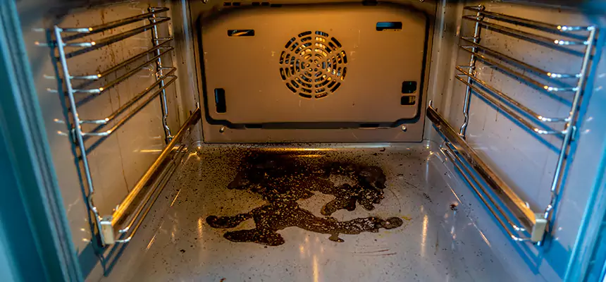 Our Dryer Vent Mold Cleaning Services in Buckhall, VA