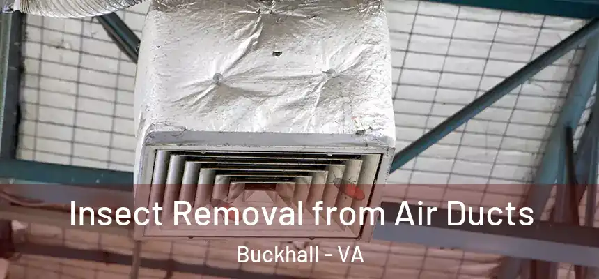  Insect Removal from Air Ducts Buckhall - VA