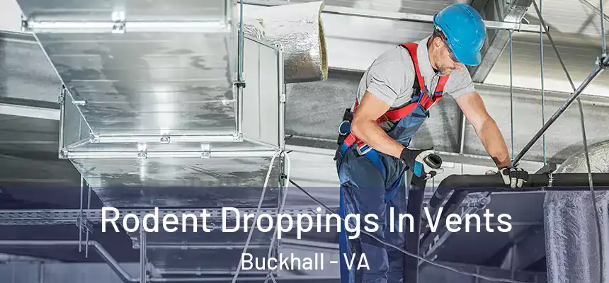 Rodent Droppings In Vents Buckhall - VA