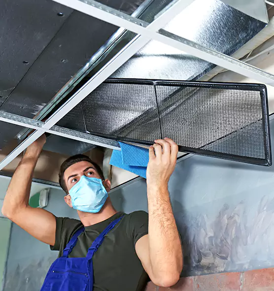 About Air Duct Bacteria Removal in Buckhall