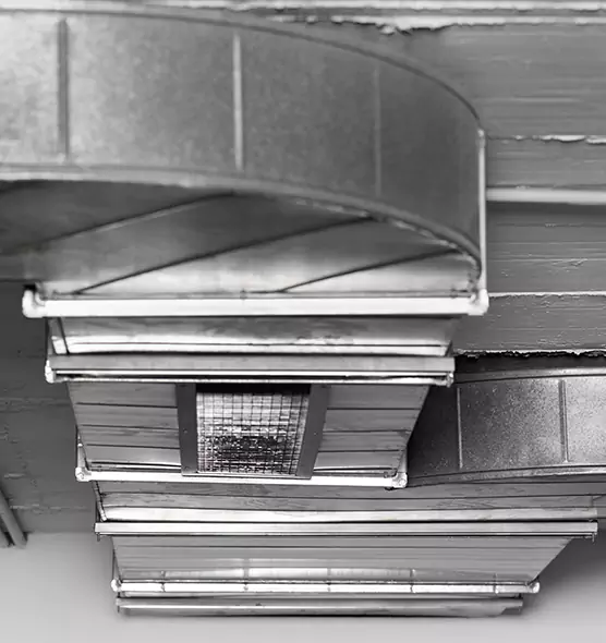 Professional Air Duct Pet Hair Removal in Buckhall, VA