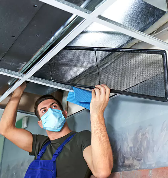 Professional Air Duct Pollen Cleaning in Buckhall, VA