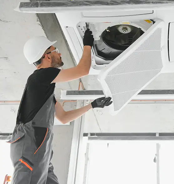 About Air Duct Rodent Removal in Buckhall, VA