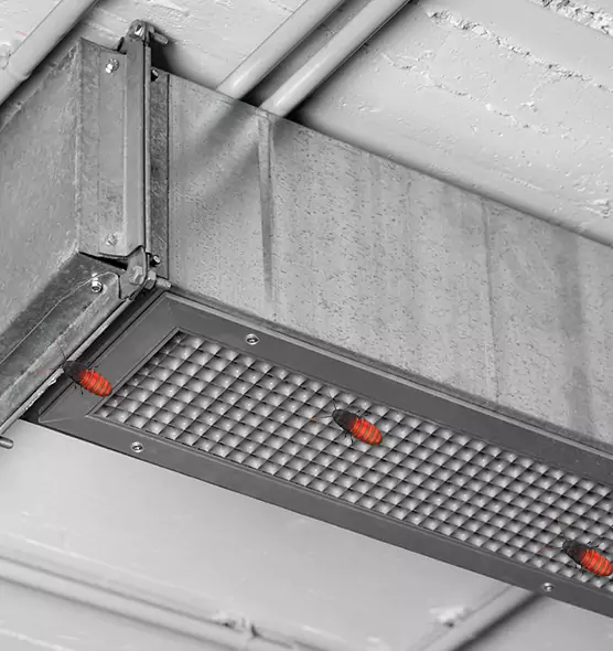 Affordable Insect Removal from Air Ducts in Buckhall, VA