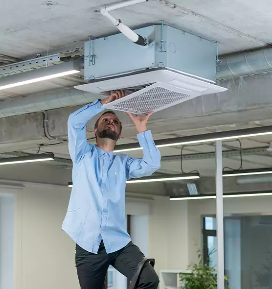 Advanced Rodent Droppings In Vents in Buckhall, VA