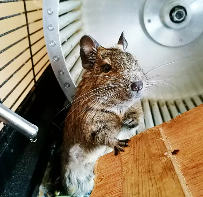 Why Homeowners & Businesses Trust Us Buckhall, VA?