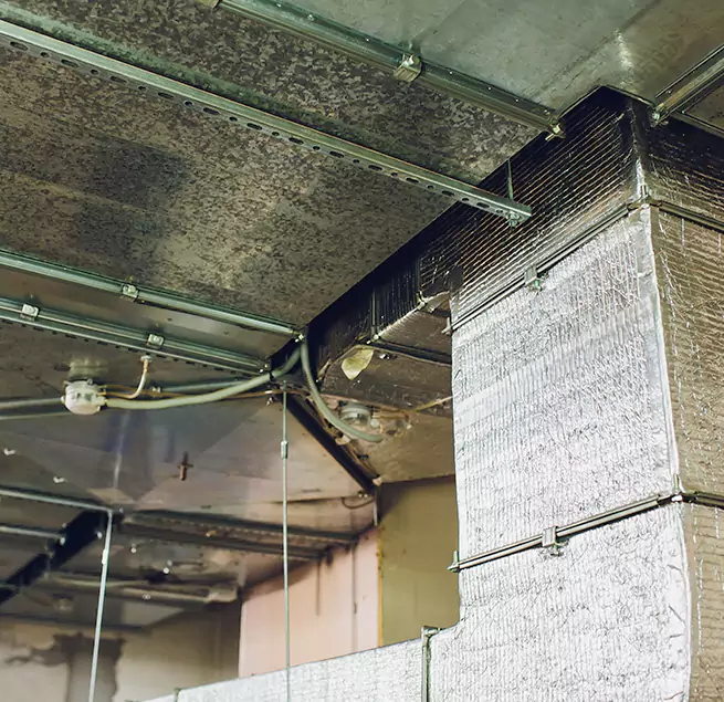 Why Homeowners & Businesses Trust Us in Buckhall, VA?