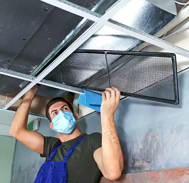 Why Homeowners Businesses Trust Us in Buckhall, VA